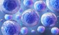 five-innovations-in-cell-based-therapy-352230-960x540
